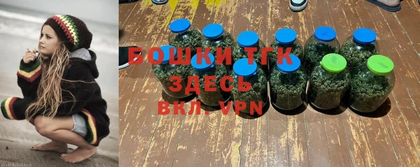 гидропоника Ладушкин