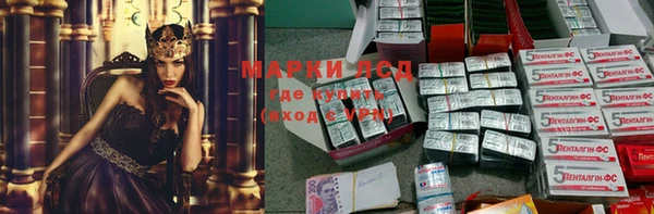 ПСИЛОЦИБИНОВЫЕ ГРИБЫ Лабытнанги