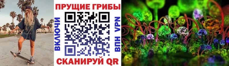 Псилоцибиновые грибы Psilocybe Магнитогорск